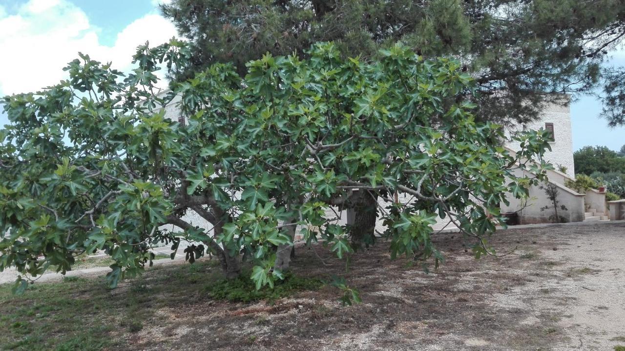 Masseria Le Betulle San Vito dei Normanni Luaran gambar